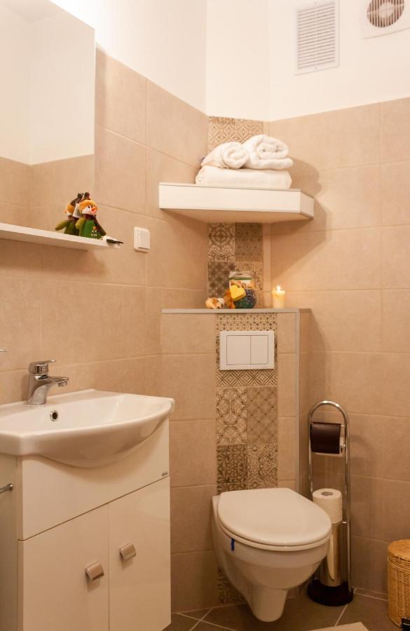 Cozy Family Apartments Braşov Extérieur photo
